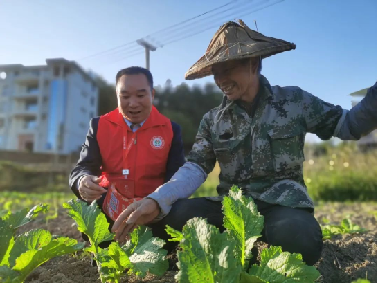 福建農(nóng)信新一期“鄉(xiāng)村振興貸”投放突破10億元，占全省七成以上
